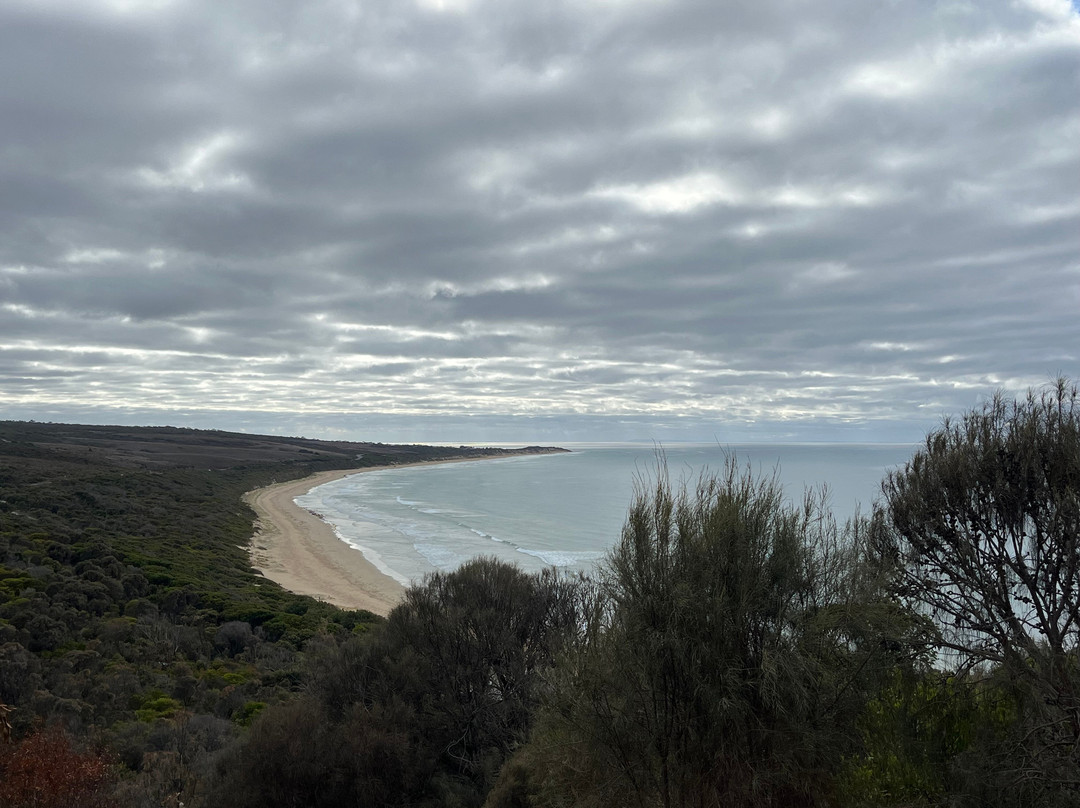 Urquhart Bluff-Aireys Inlet必去景点