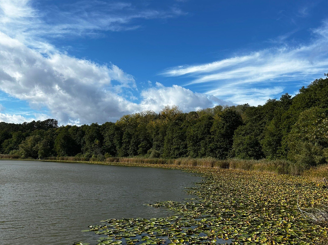 Laghi Di Monticchio-Monticchio Bagni必去景点