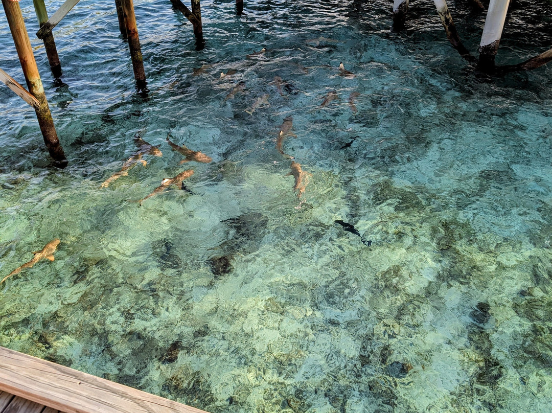 Travelers Street Pvt Ltd-马累必去景点