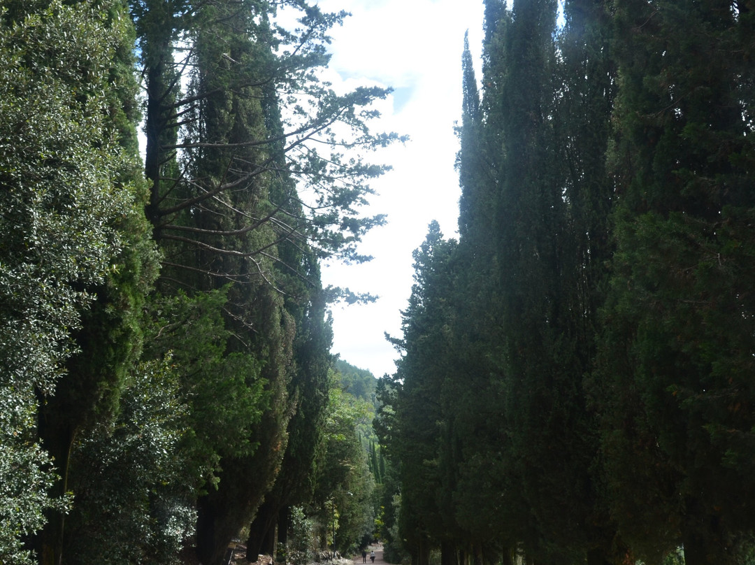 Sentiero Colle Eletto-古比奥必去景点