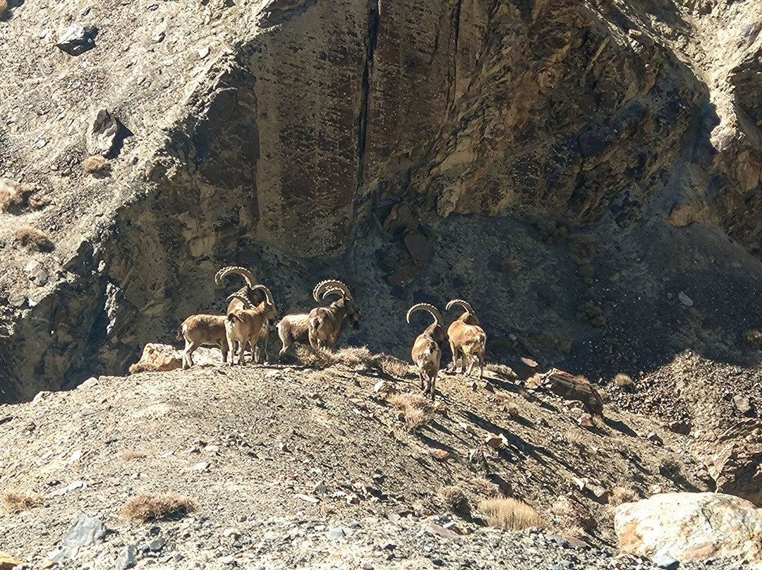 Apricot Tours-Islamabad Capital Territory必去景点