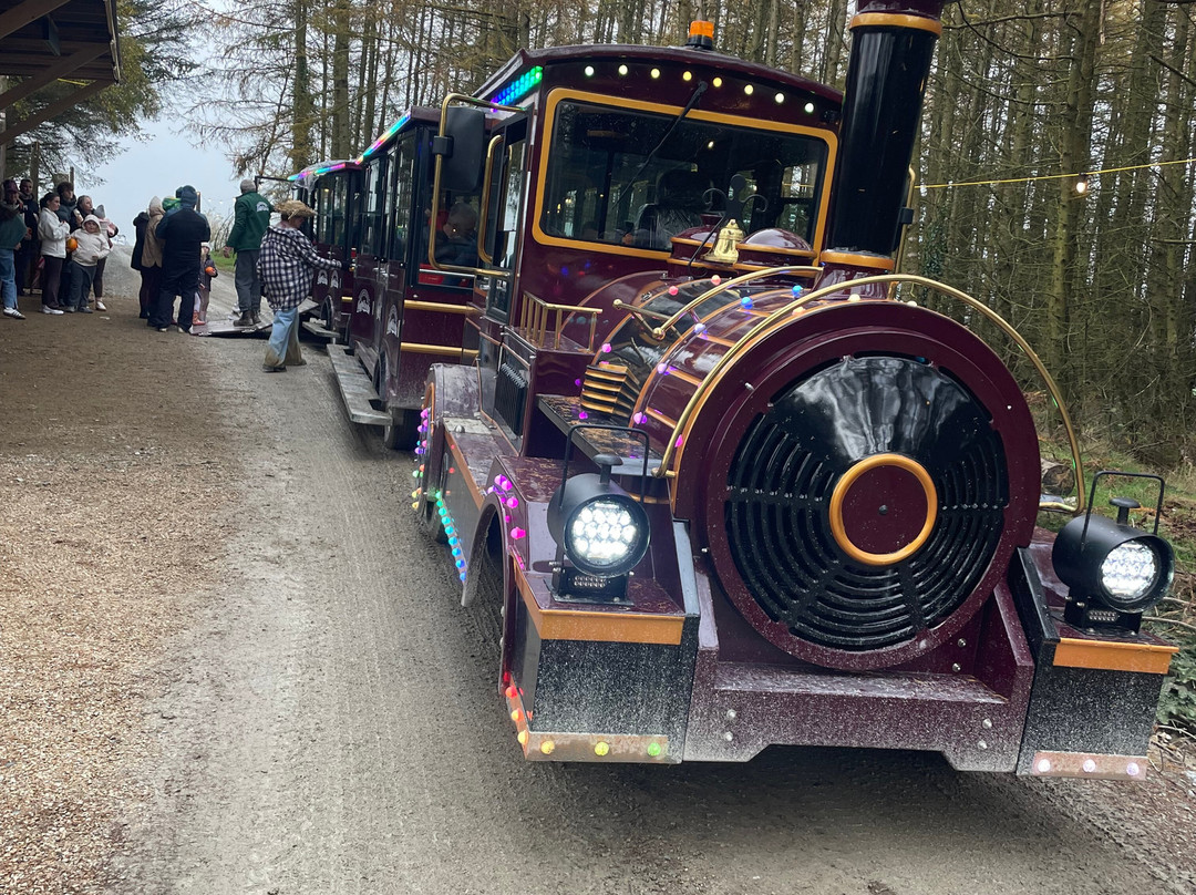 Luggwoods-Saggart必去景点