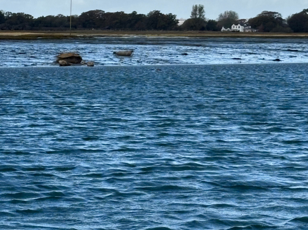 Chichester Harbour Water Tours-West Itchenor必去景点