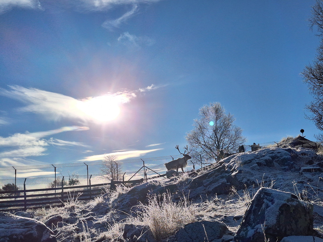Langedrag Nature Park-Nesbyen必去景点