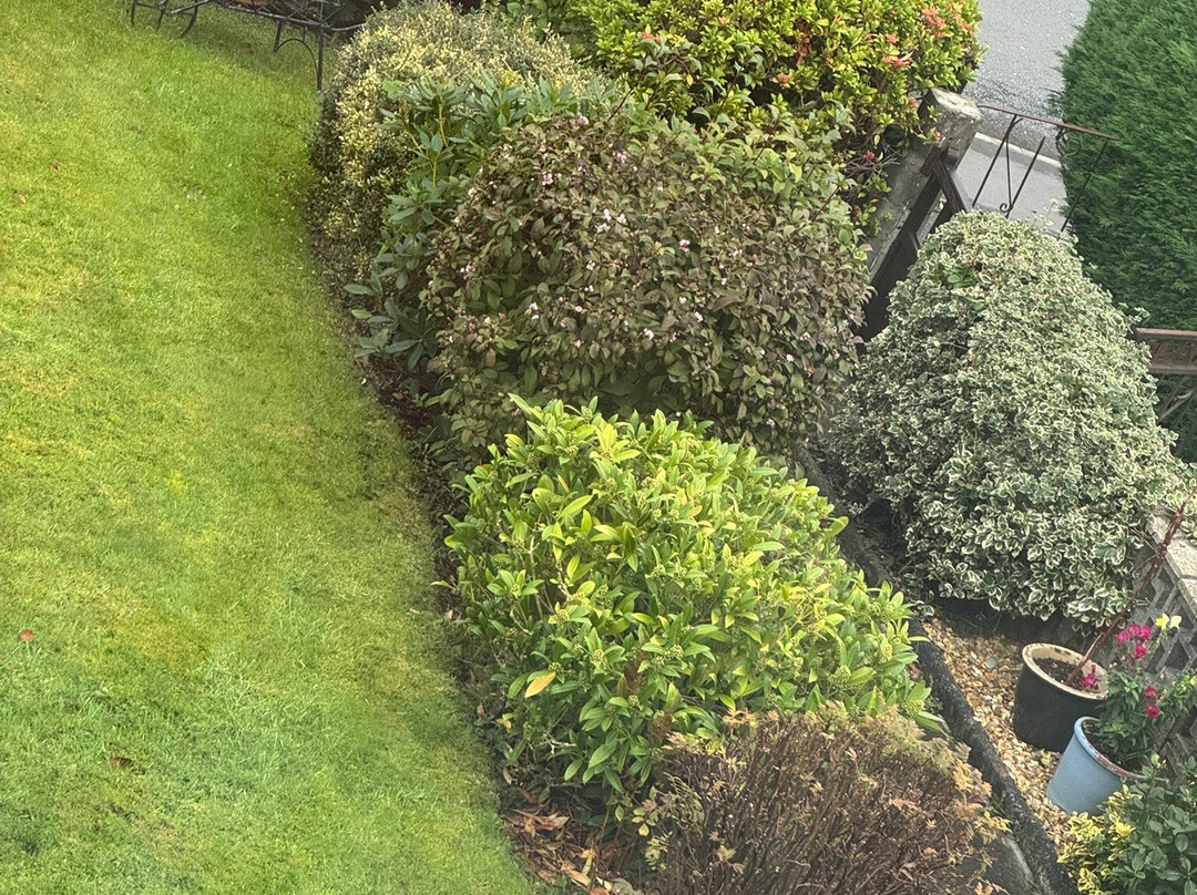 Gwynfa Bed & Breakfast主图