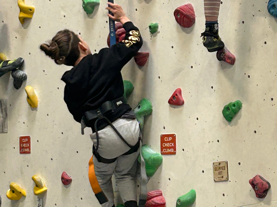 Big Rock Hub-米尔顿凯恩斯必去景点