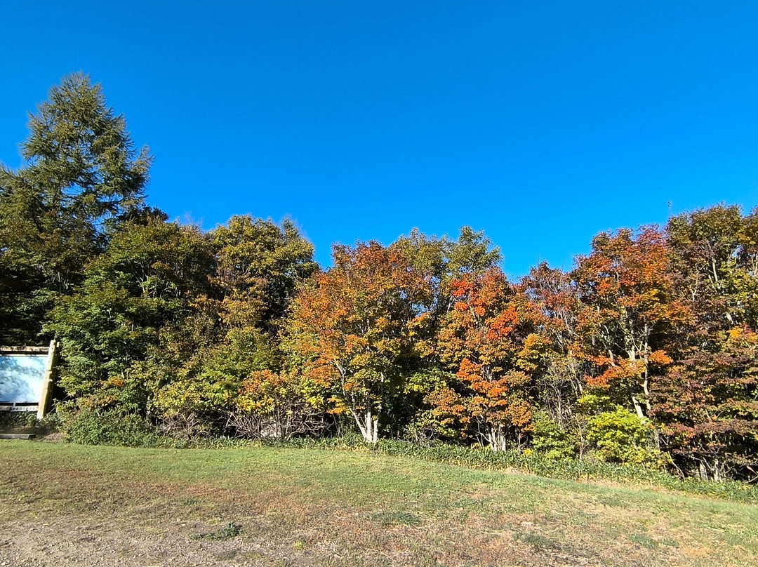 Mt. Ishizuchi Ropeway-西条市必去景点
