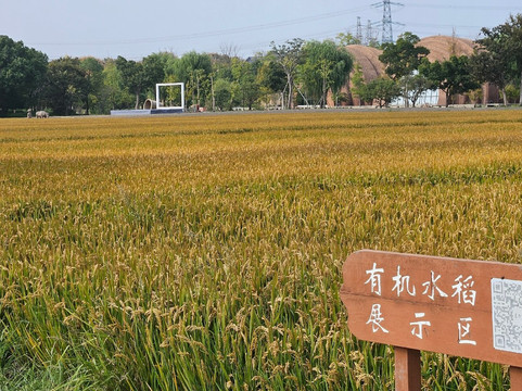 广富林文化遗址-上海市必去景点