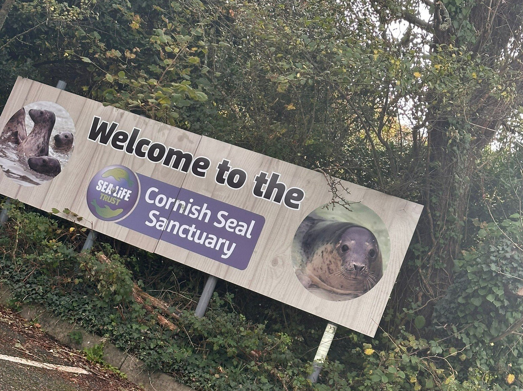 Cornish Seal Sanctuary-Gweek必去景点