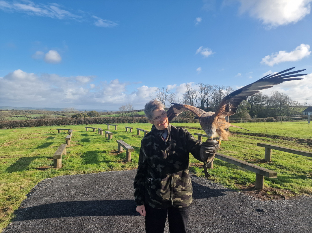 The British Bird of Prey Centre-喀麦登必去景点