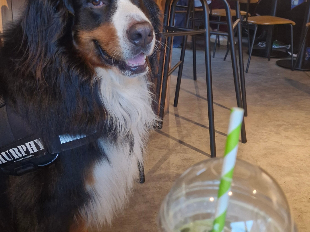 Esquires Coffee (Carrigaline)