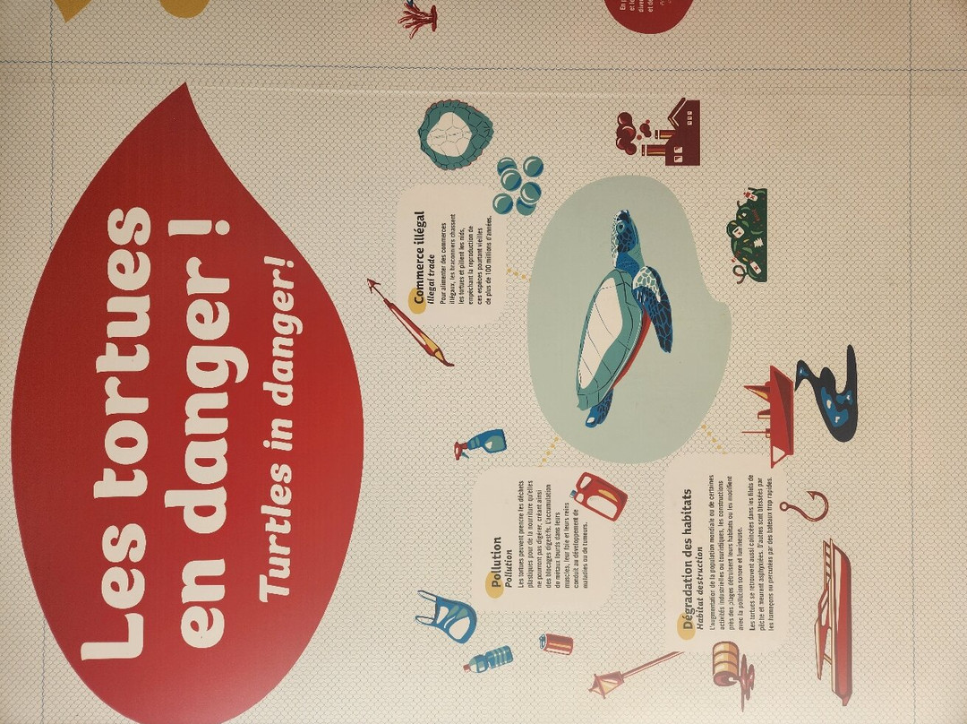 Kélonia-圣亮必去景点