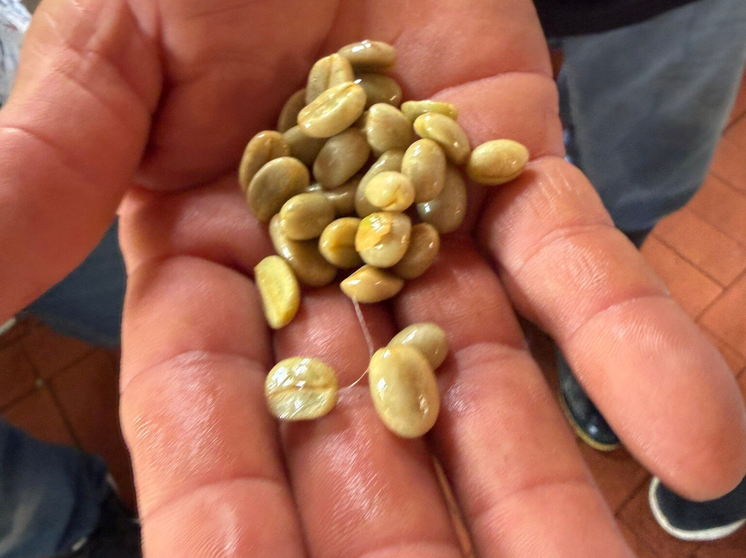 La Divisa De Don Juan-佩雷拉必去景点