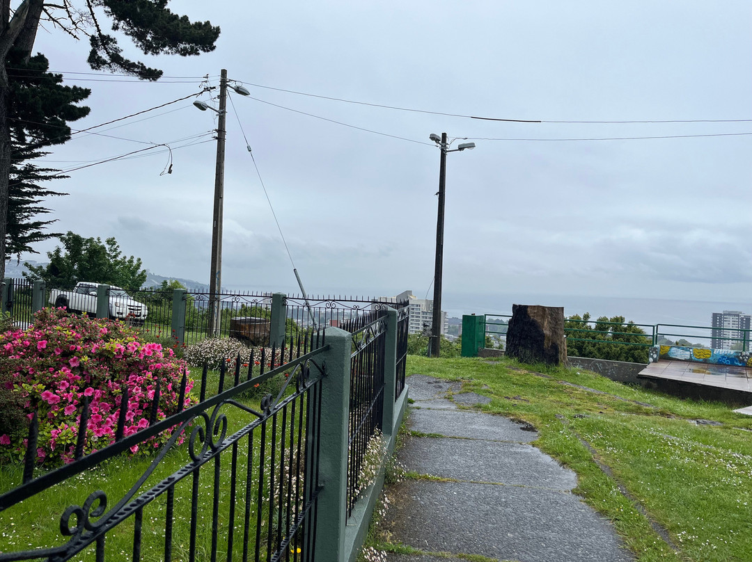 Mirador Manuel Montt-蒙特港必去景点