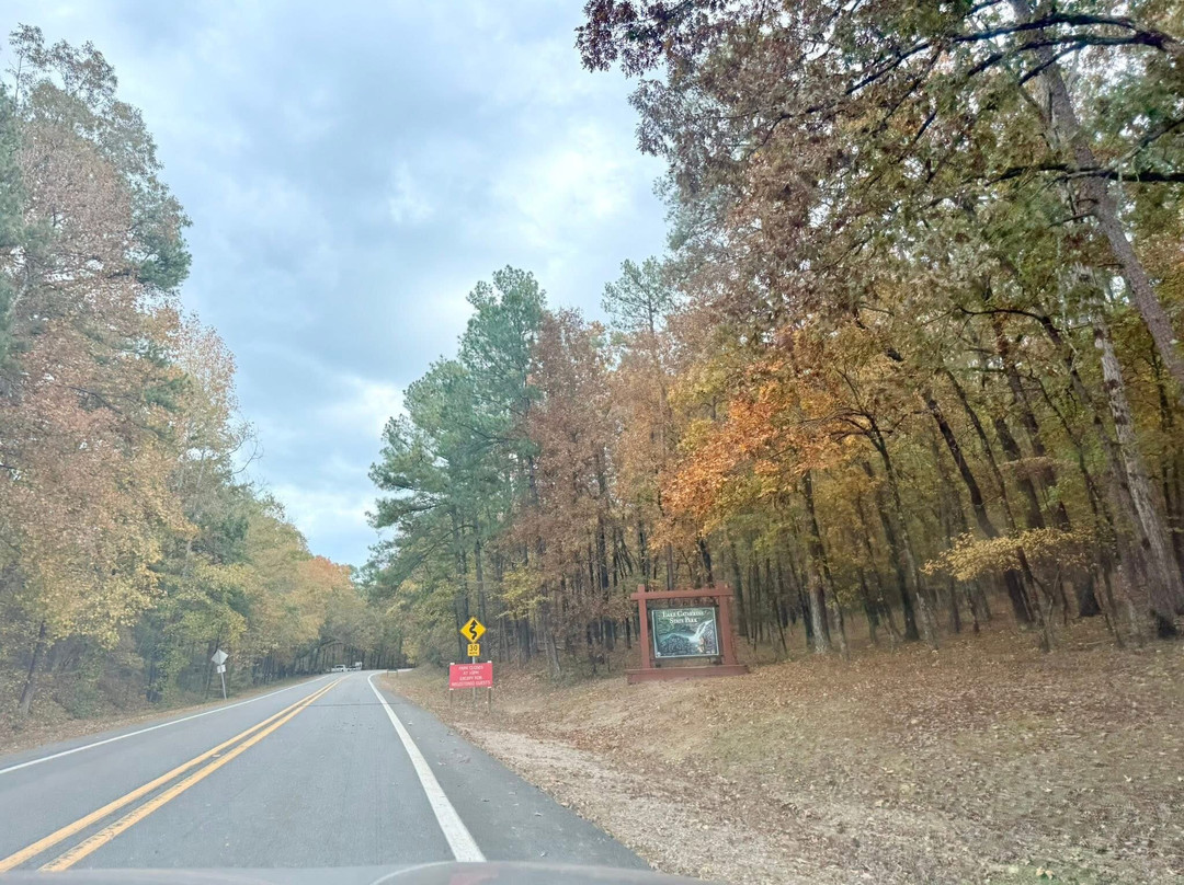 Lake Catherine State Park-温泉城必去景点