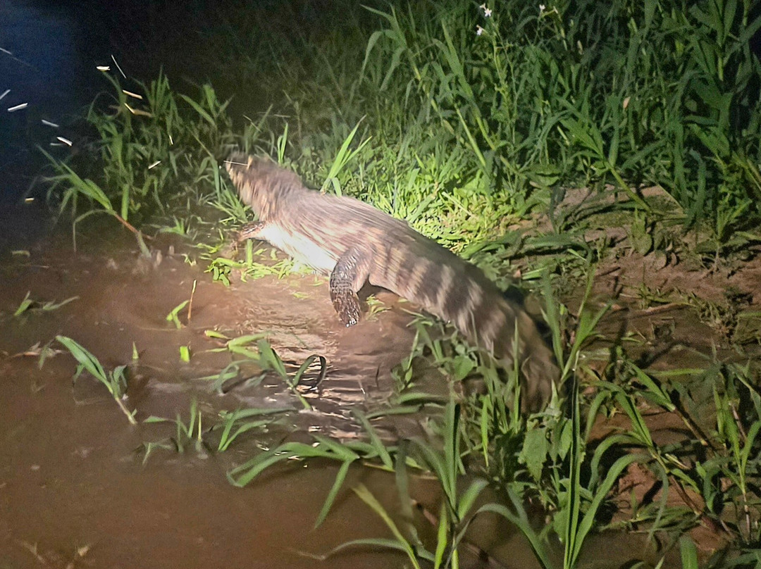 Eco Adventures Travel-大坎普市必去景点