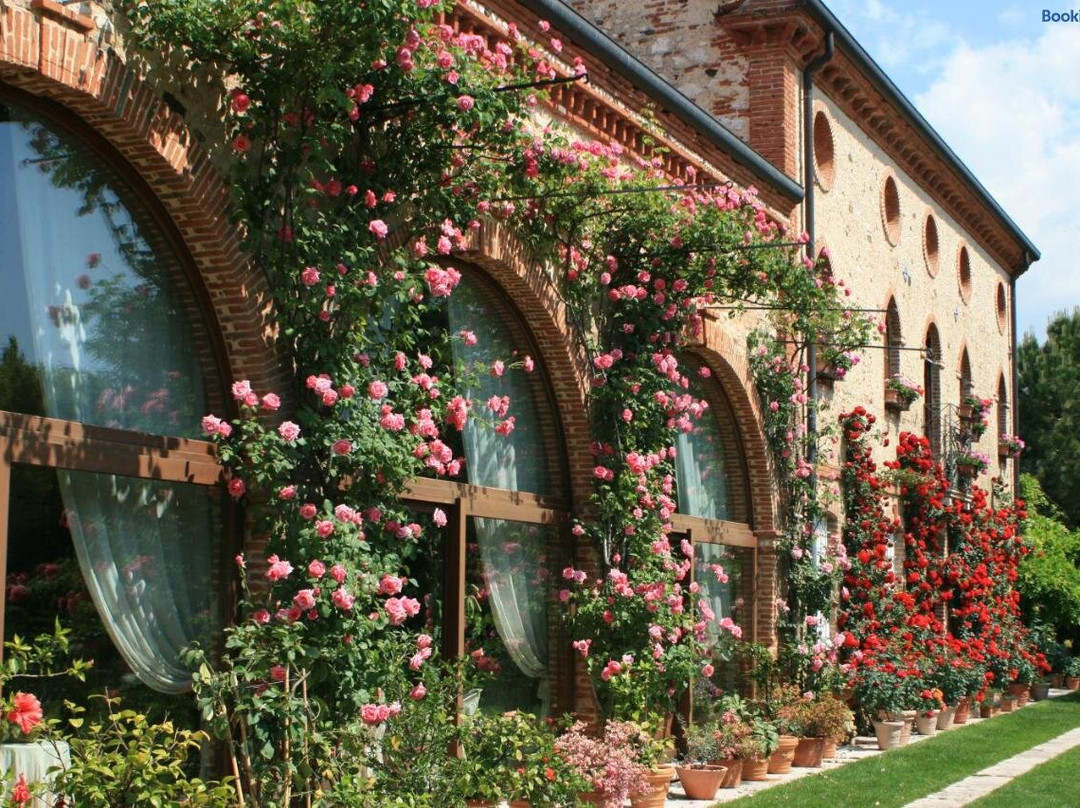 Zane酒店住宿-La Corte dei Galli