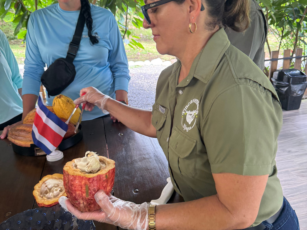 Maleku Tours-利比里亚必去景点