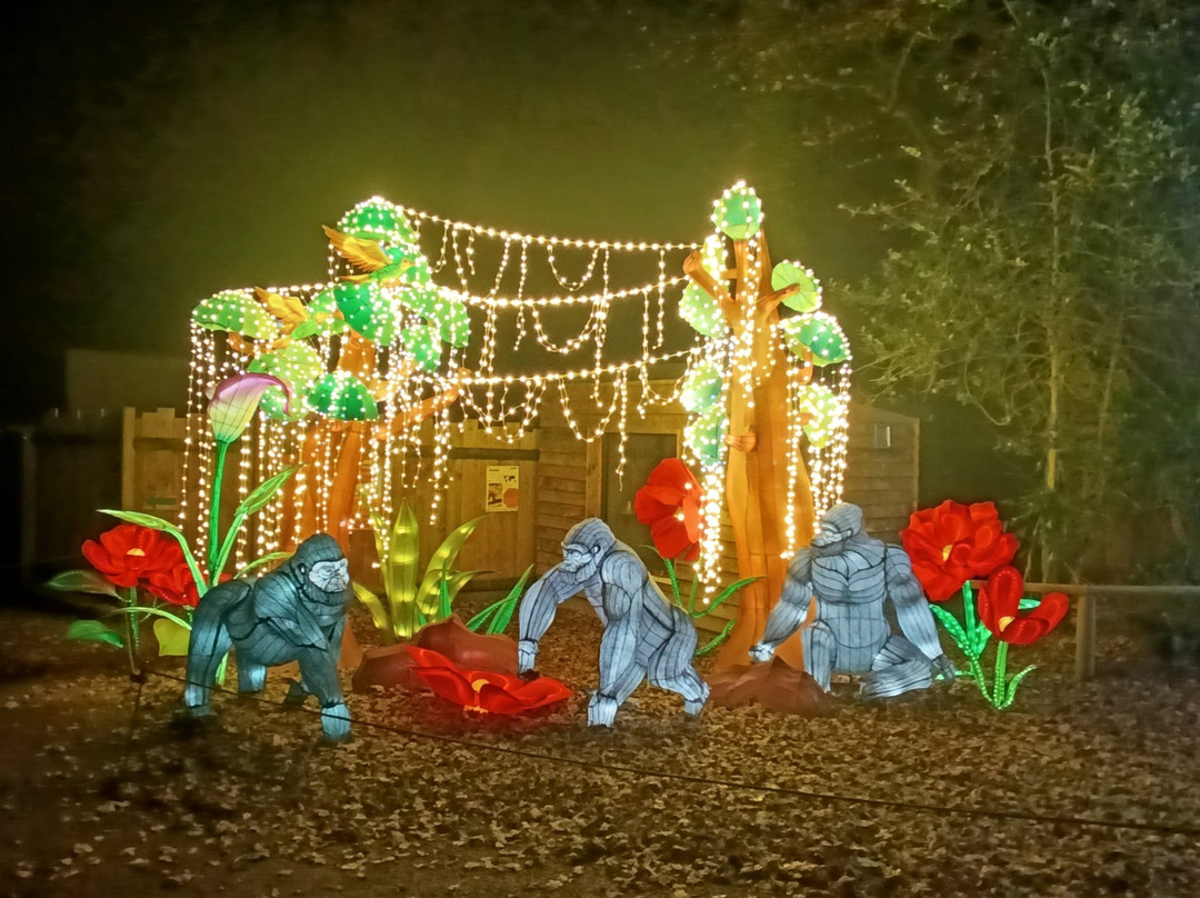 Zoo de Jurques-Jurques必去景点