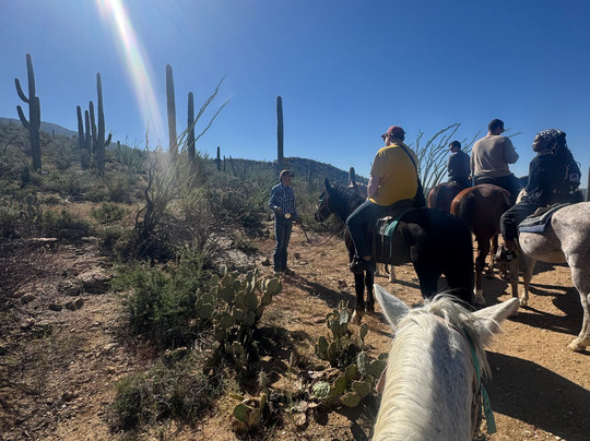 Rockin' Star Ranch-图森必去景点