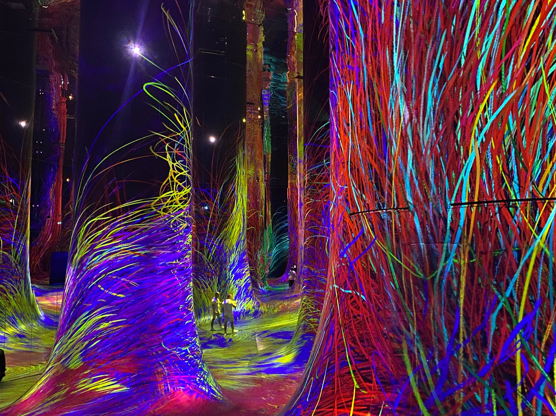 teamLab Phenomena Abu Dhabi-阿布扎比必去景点