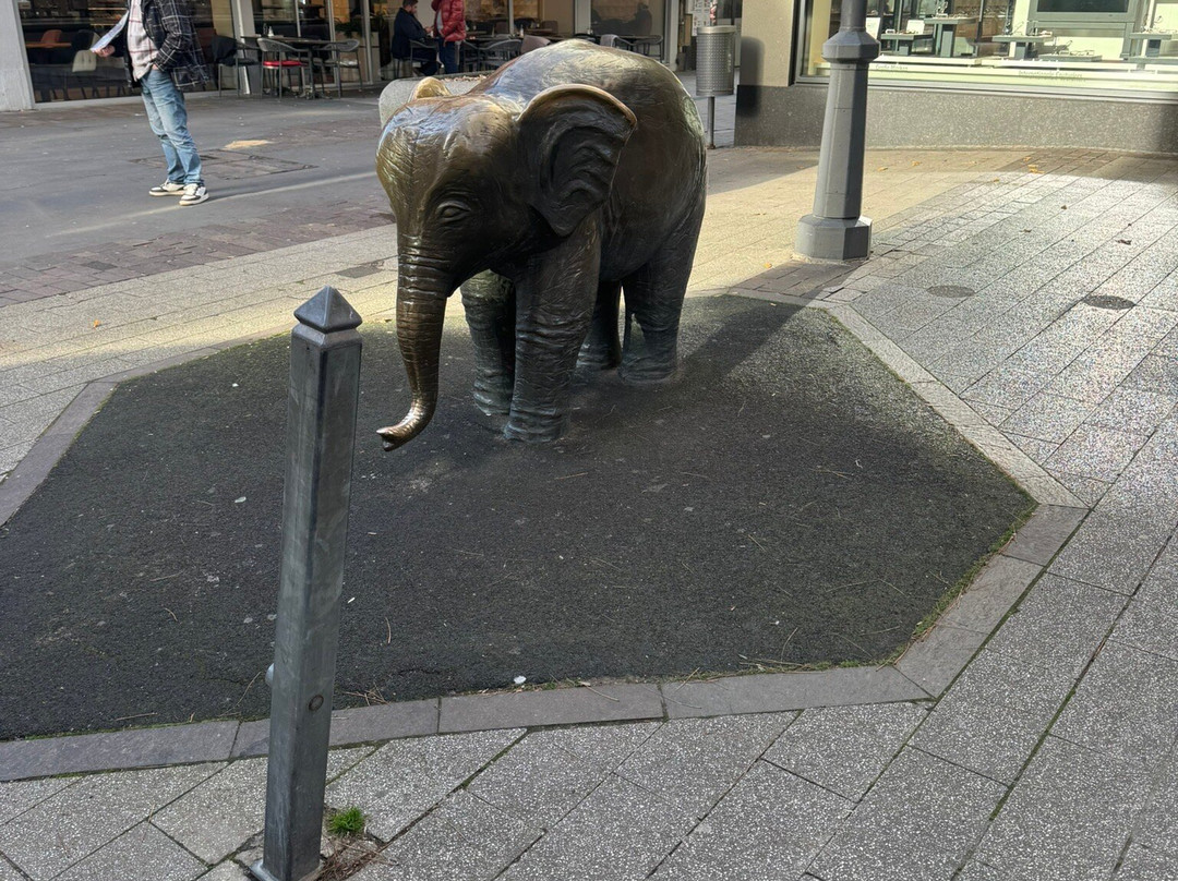 Bronzeelefant "Tuffi"-伍珀塔尔必去景点