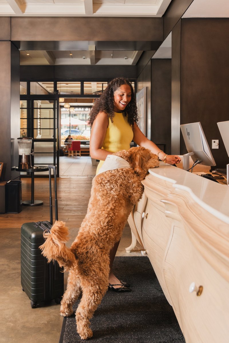 金普顿旅行者-浴室