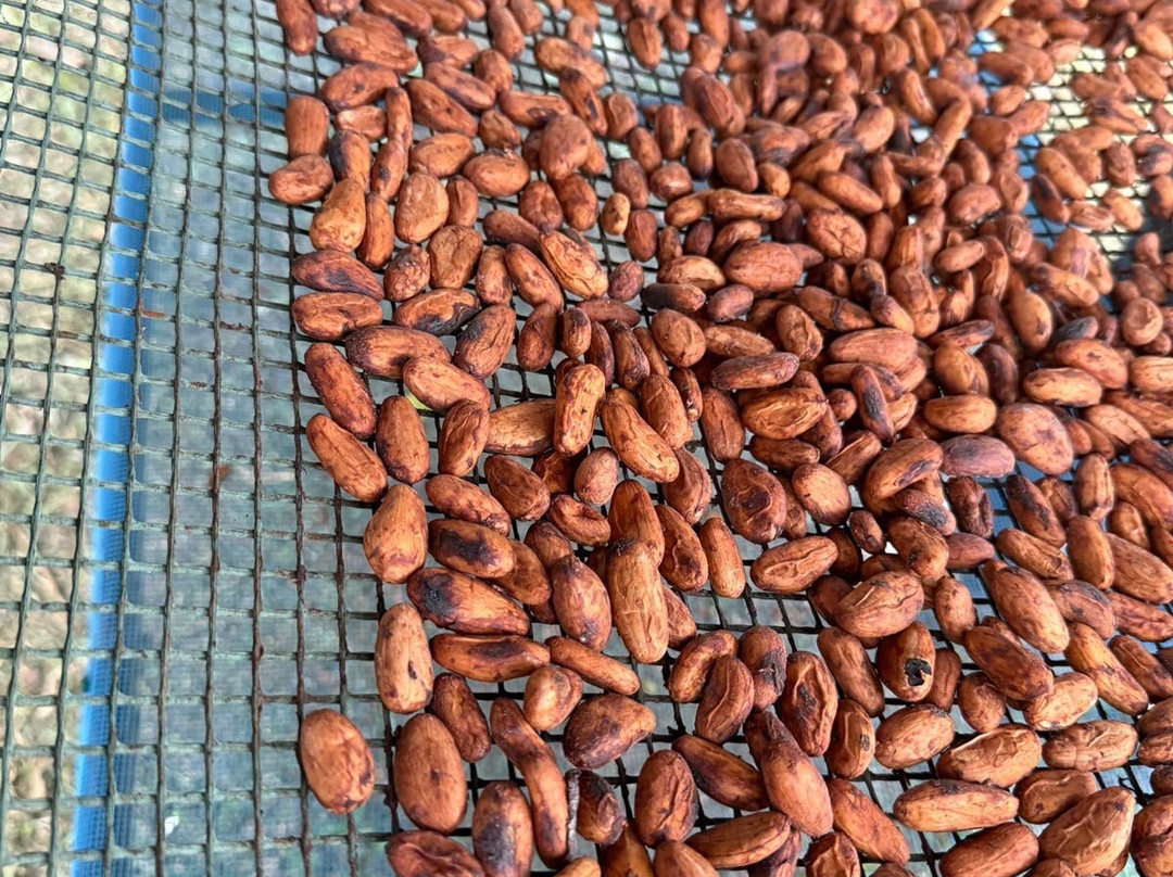 Libélula Finca Agroecológica-Manglaralto必去景点