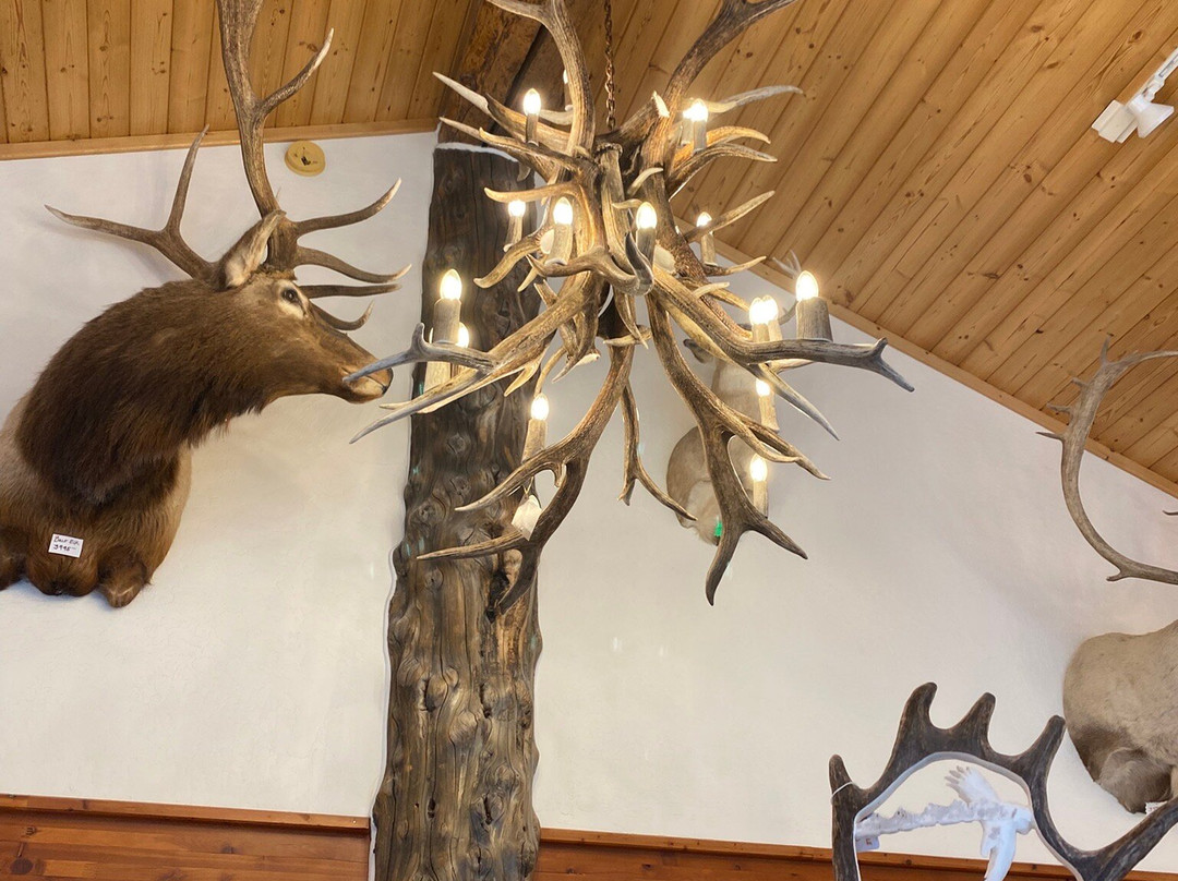 Unique Antler Design Wildlife Gallery-Riggins必去景点