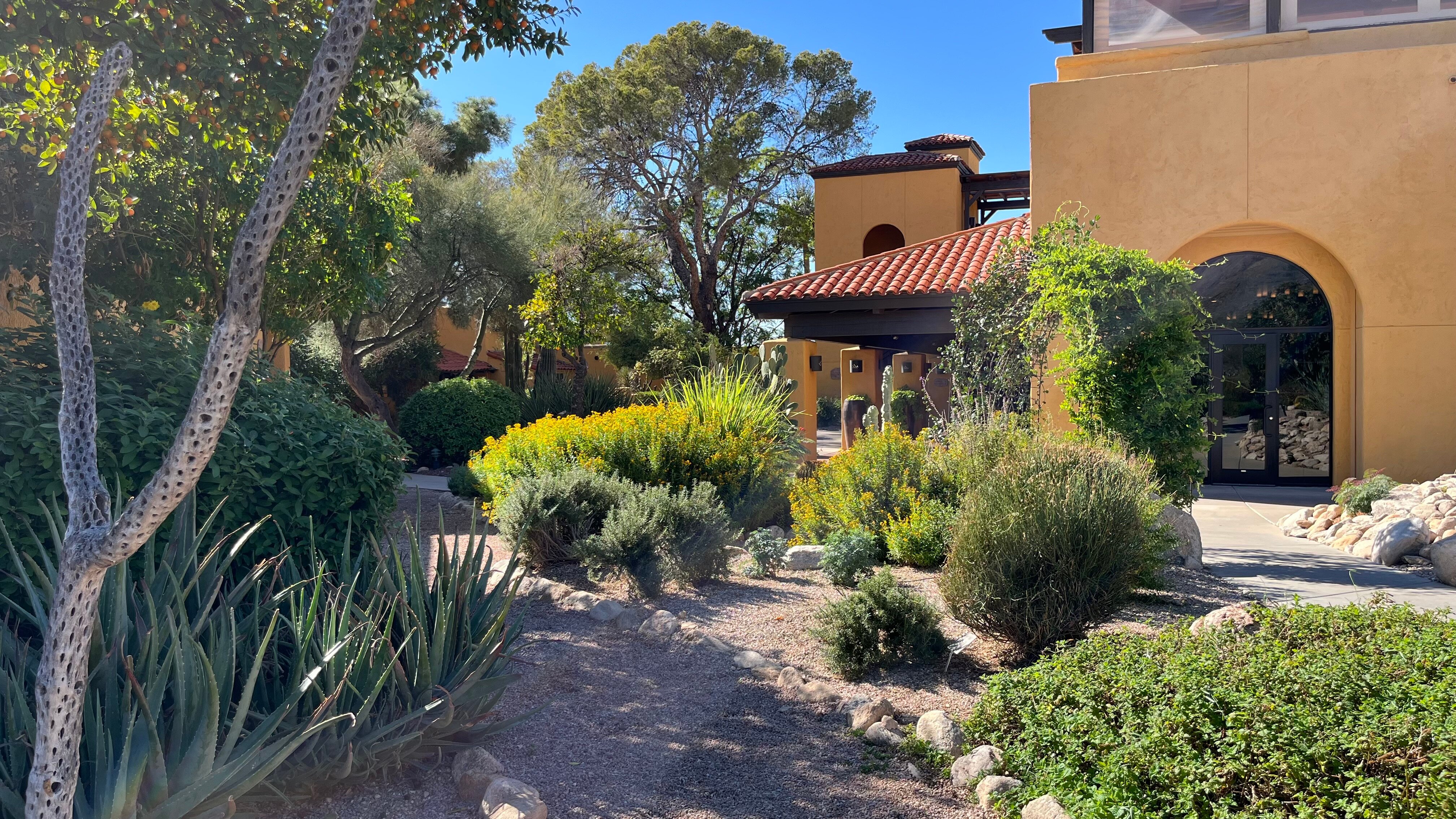 Westward Look Wyndham Grand Resort and Spa-浴室