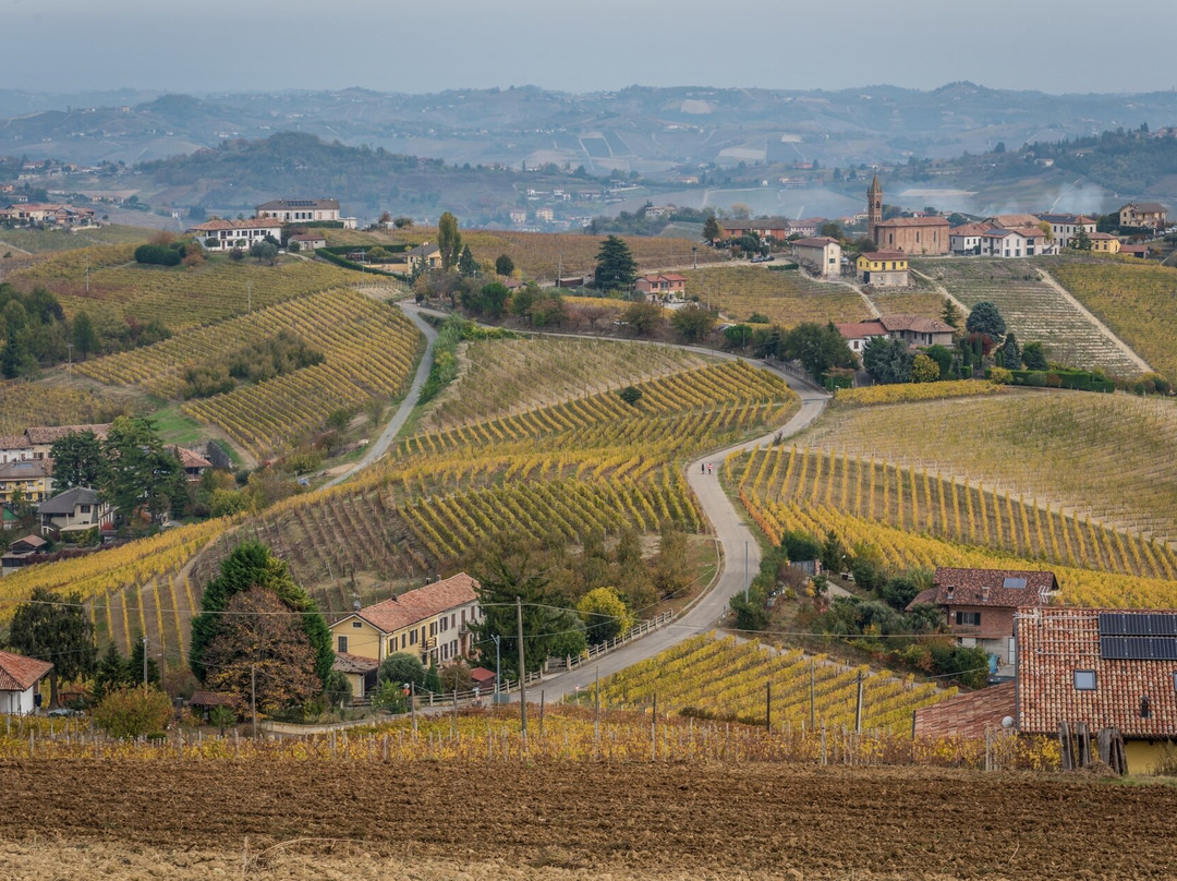 Torre dei Contini-Canelli必去景点