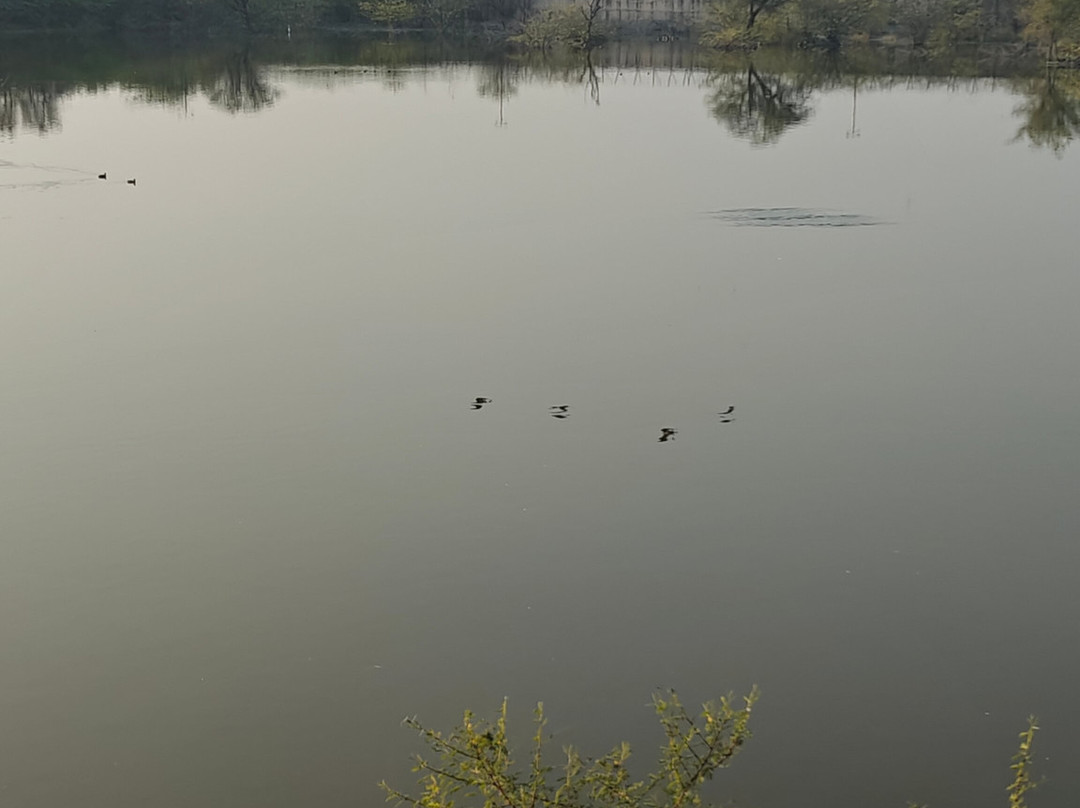Gudo Bishnoi Lake-Guda Bishnoiyan必去景点