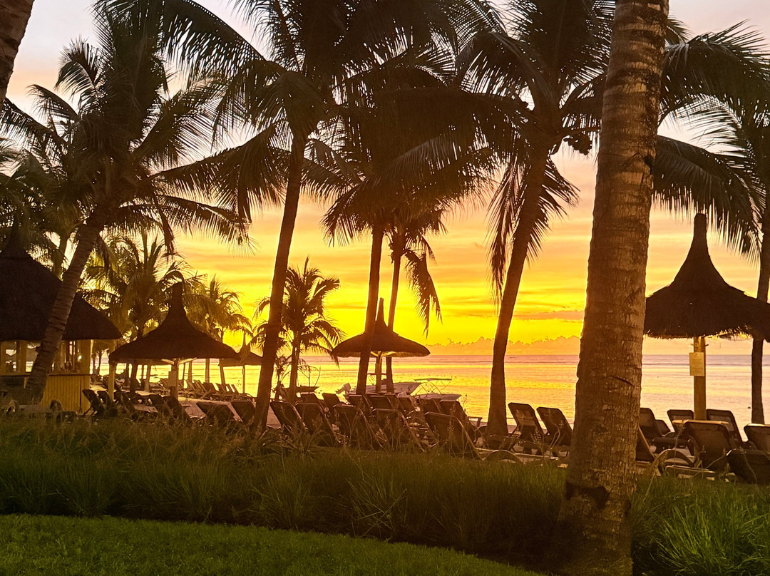 Rhino Africa Safaris-开普敦中心区必去景点