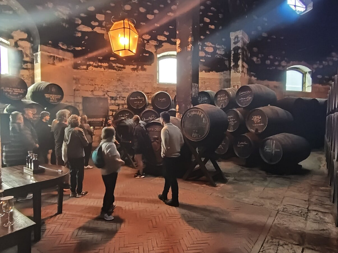 Bodegas Fundador-赫雷斯德拉弗隆特拉必去景点