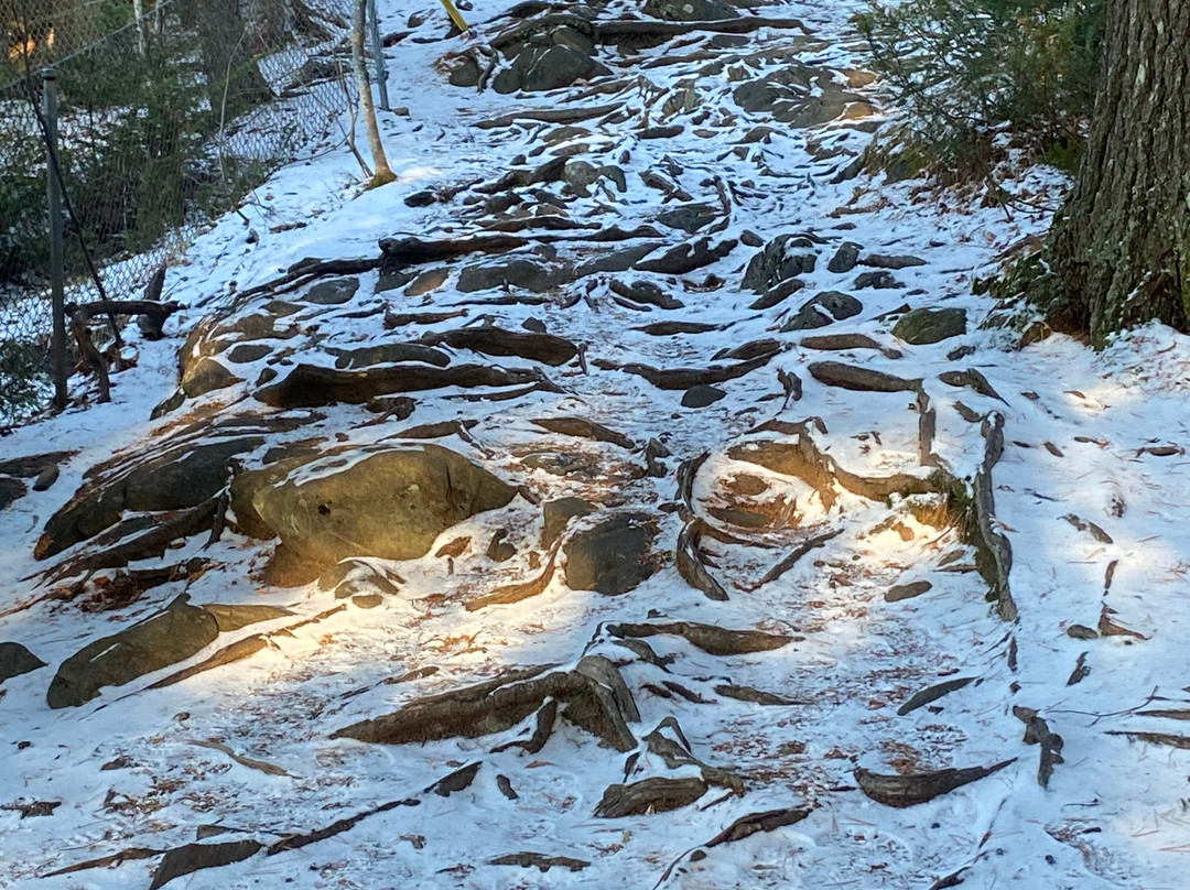 Oxtongue River-Ragged Falls Provincial Park-Dwight必去景点