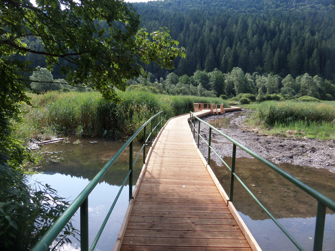 Lago d'Ampola-Tiarno di Sopra必去景点