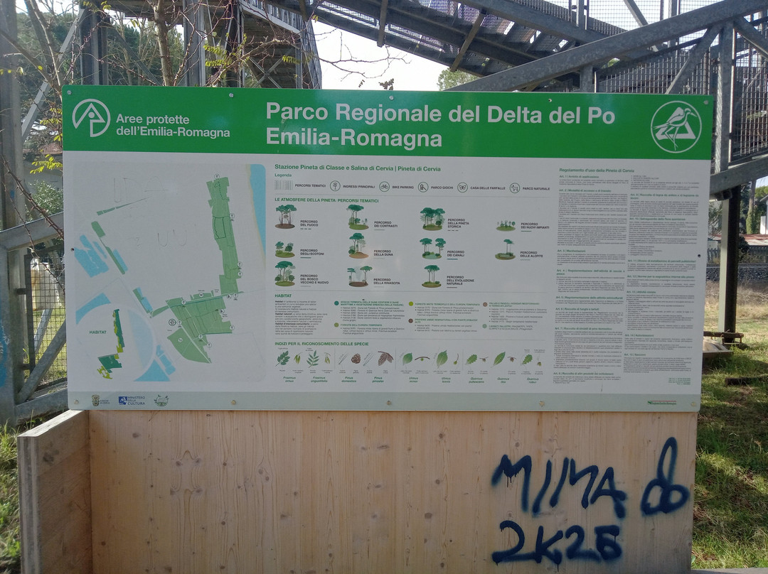 Pineta di Milano Marittima-Milano Marittima必去景点