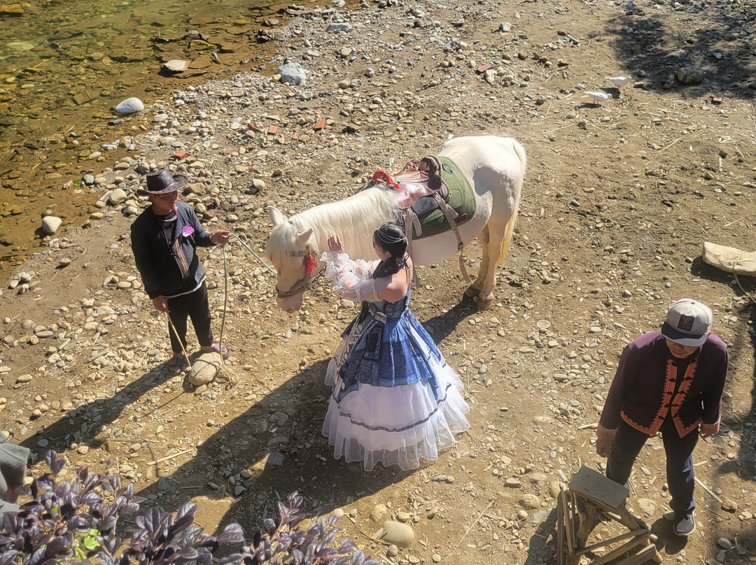 Caroline's Travel Agency-河内必去景点