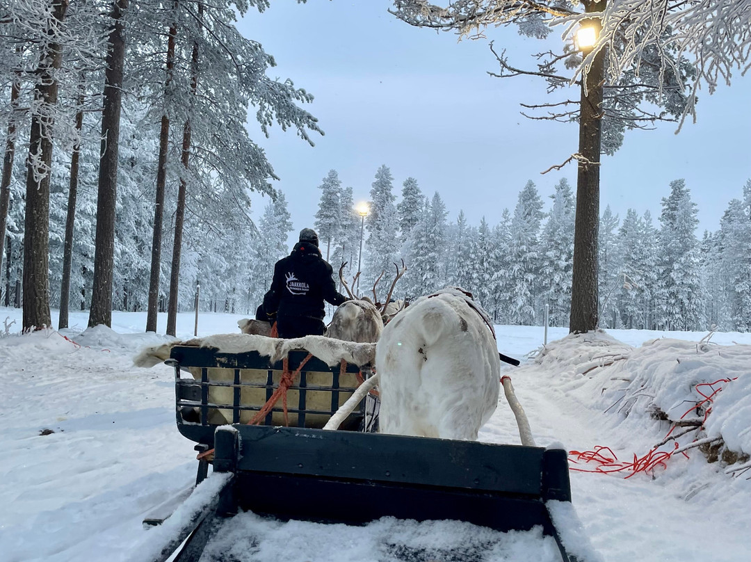 Jaakkola Reindeer Farm-Luosto必去景点