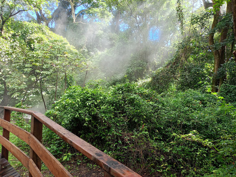 Red Pacific Sunset - Alex Tours-波特雷罗必去景点