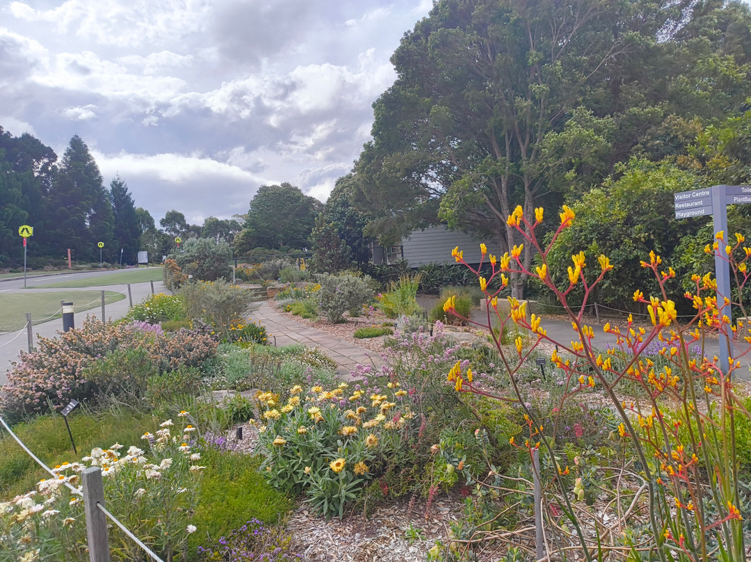 The Australian Botanic Garden-Mount Annan必去景点