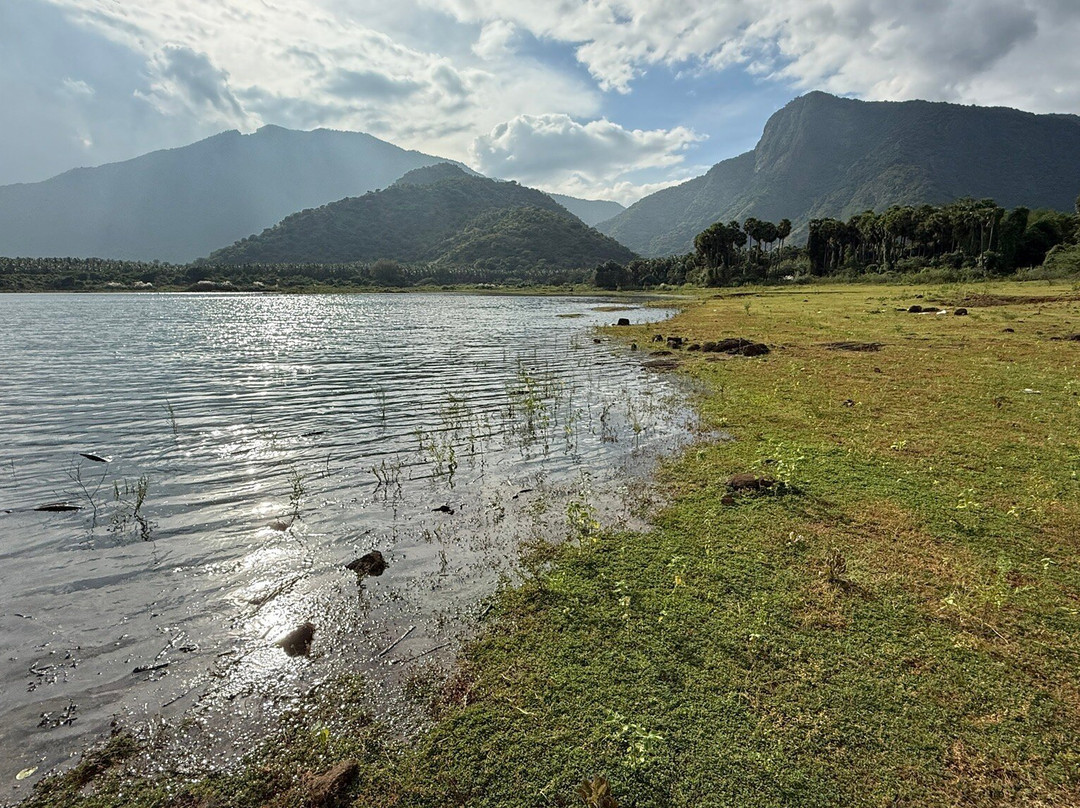 Cardamom House主图