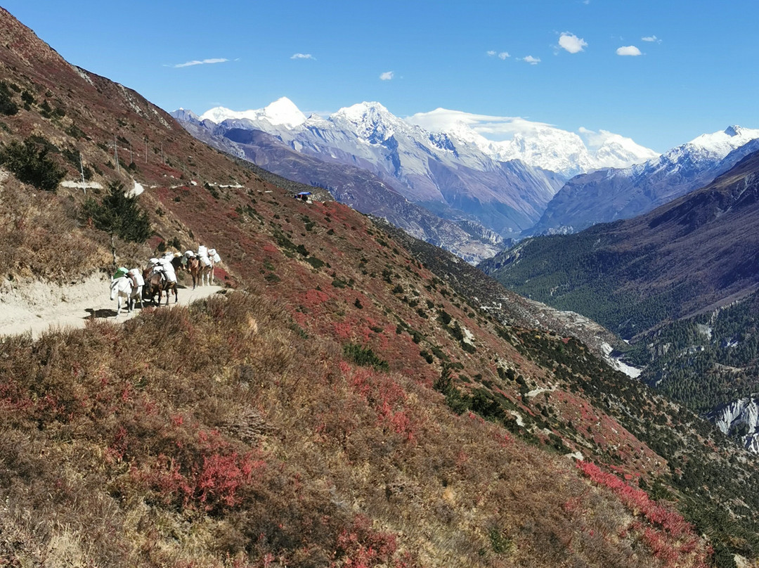 Trek Into Thin Air-Banepa必去景点