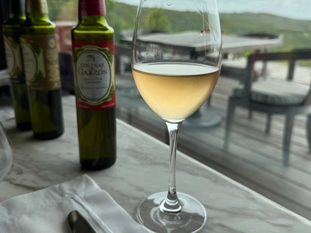 Bodega Garzon-Garzon必去景点