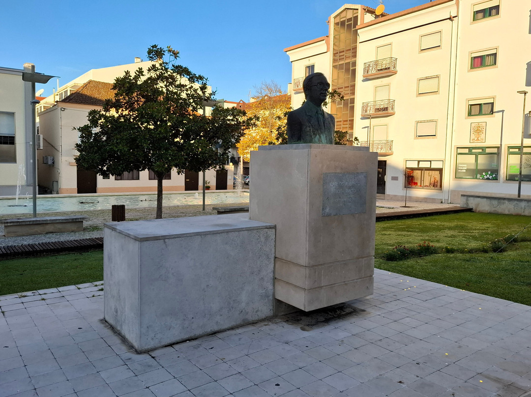 Estátua Carlos Alberto Mota Pinto