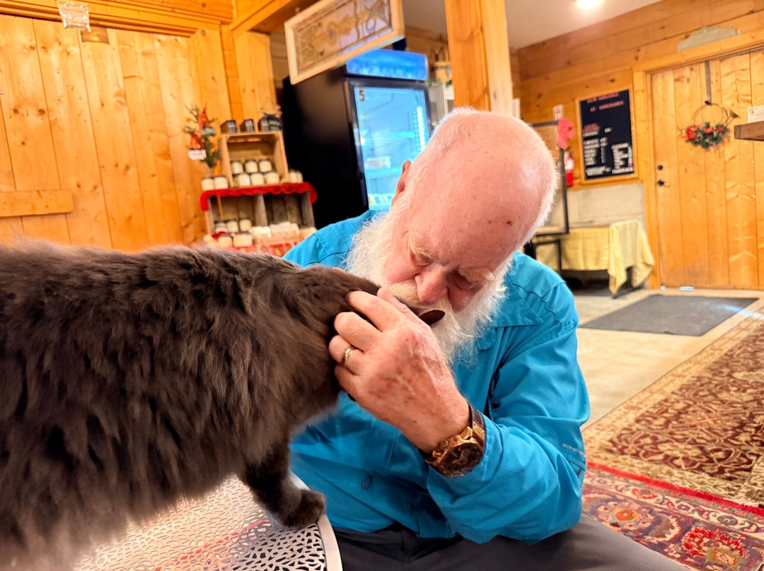 Marceline Vineyards-Mount Crawford必去景点