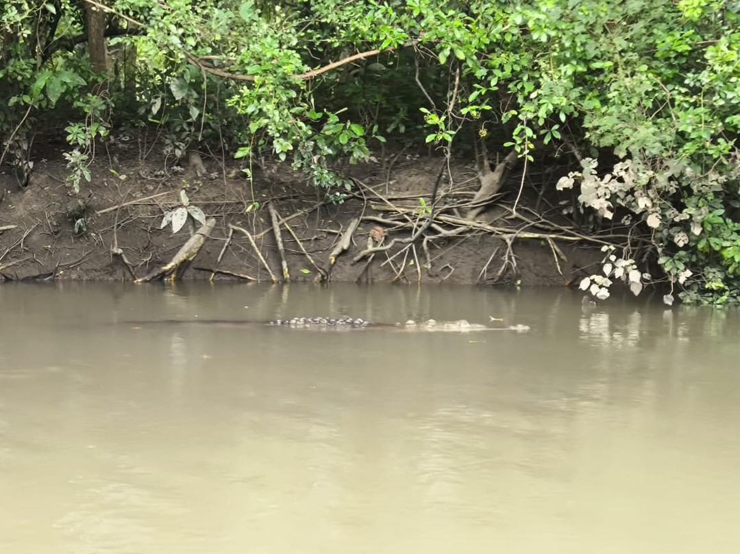 Genuine Costa Rica-Playas del Coco必去景点