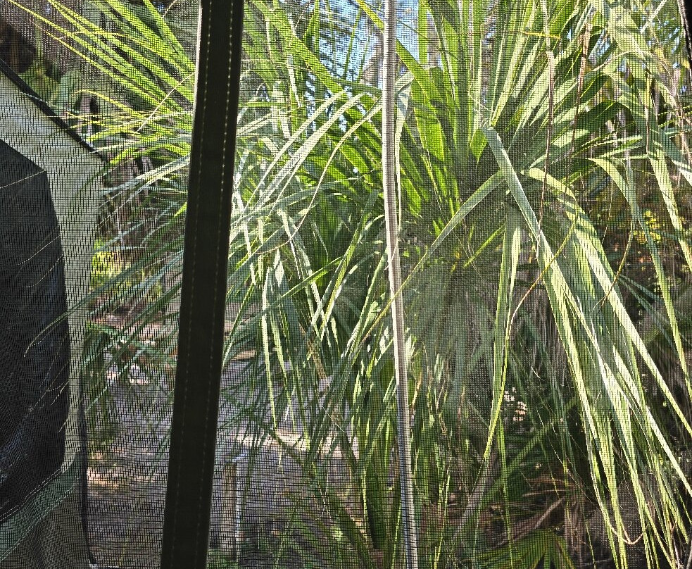 Oscar Scherer State Park-Osprey必去景点