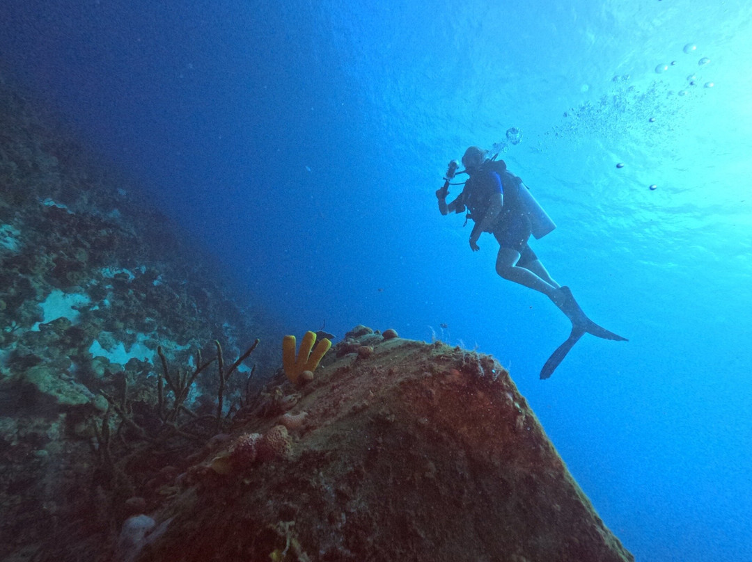 Varadero Diving Tour-Playa Larga必去景点