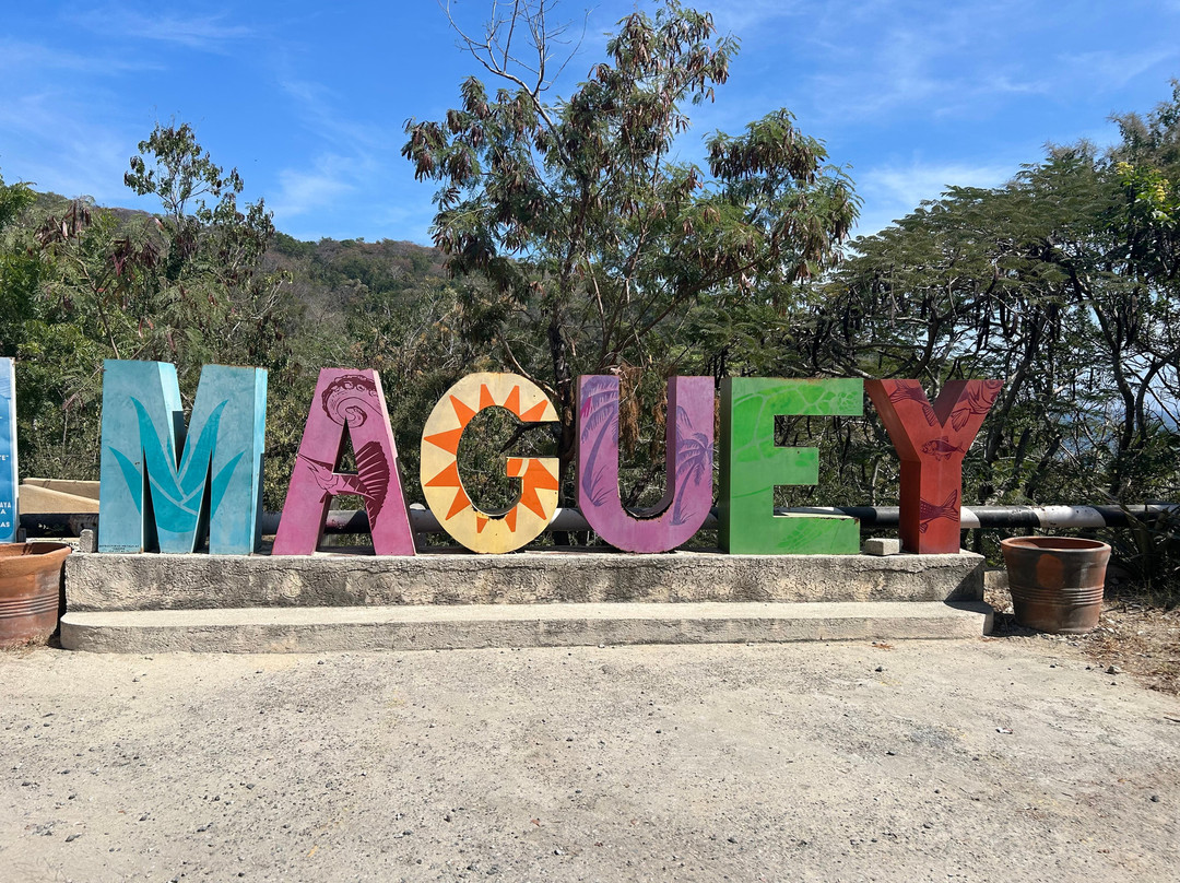 Best Huatulco Tours-瓦图尔科必去景点